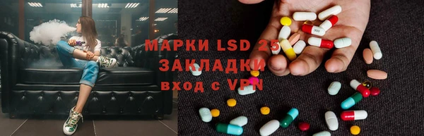 спиды Новодвинск