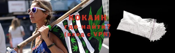 спиды Новодвинск