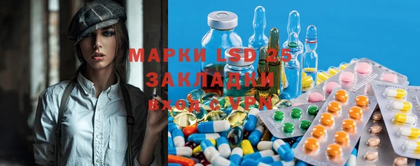 спиды Новодвинск