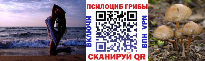 Псилоцибиновые грибы мухоморы  Кадников 